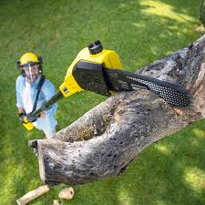 Best Lawn Grading and Leveling  in San Carlos, AZ